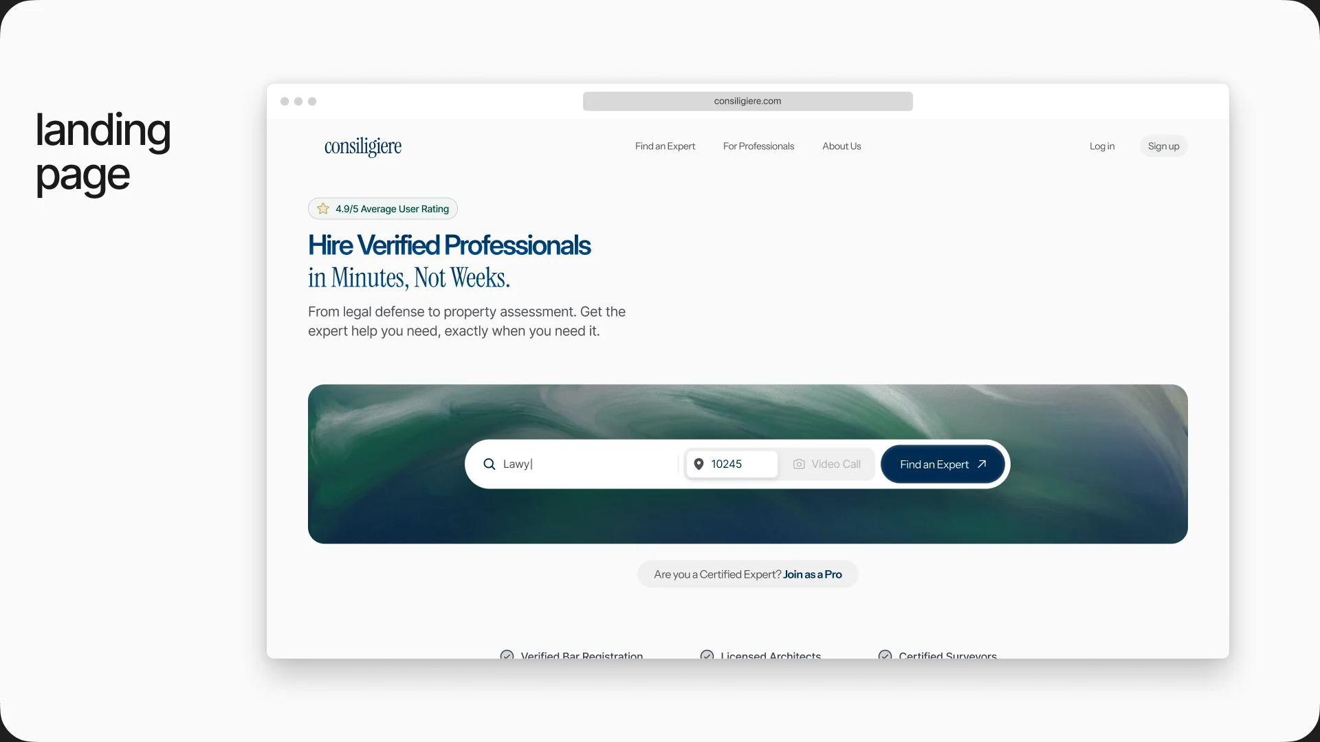 The final landing page hero: Hire Verified Professionals in Minutes, Not Weeks, above a search bar for profession, postcode and video call.